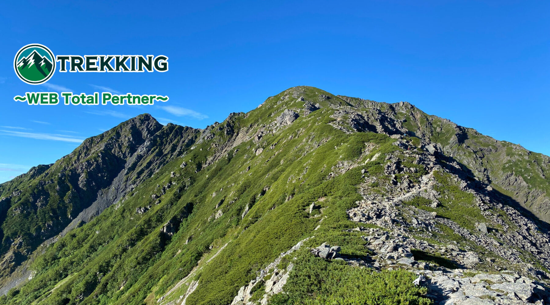 概要はこちら 概要はこちら